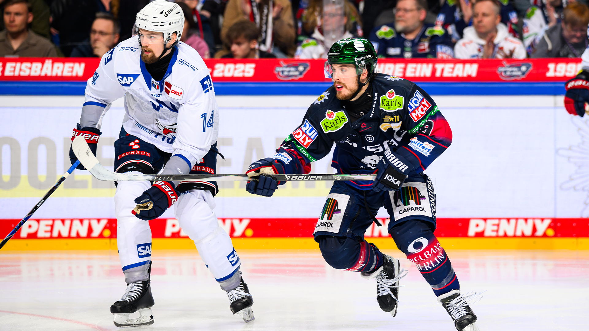 Eisbären Berlin gg. Adler Mannheim